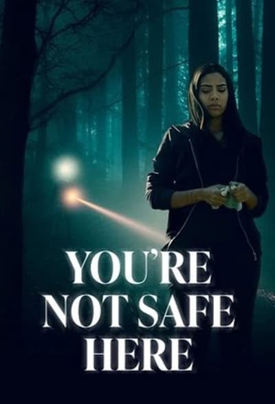 Youre Not Safe Here (2021) WEB-DL 1080p DUAL x264-HDM 24c14e63baff241cfd1735c6245a2924