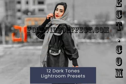 12 Dark Tones Lightroom Presets - QFSS3Y2