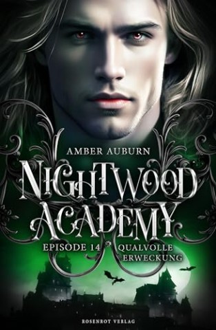 Amber Auburn - Nightwood Academy, Episode 14 - Qualvolle Erweckung: Romantasy-Serie