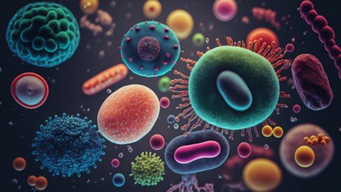 Foundations Of Bacteriology: Understanding Microbial  Life E4028dca2a5cc6bd541e4df80c3b1c95