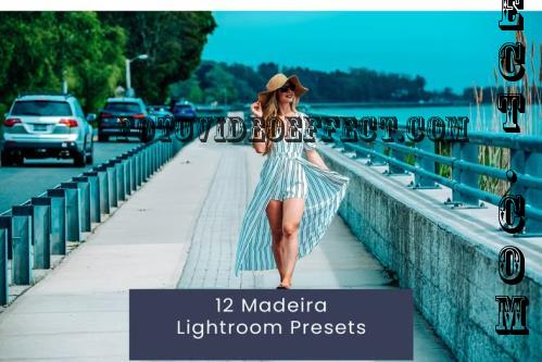 12 Madeira Lightroom Presets - CERCHEU