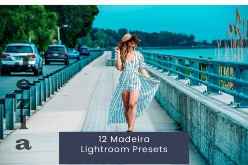 12 Madeira Lightroom Presets - CERCHEU