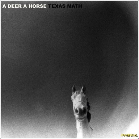 A Deer A Horse - Texas Math (2024) [24Bit-96kHz] FLAC  0db2565de2d19a7655ecea612df9f207