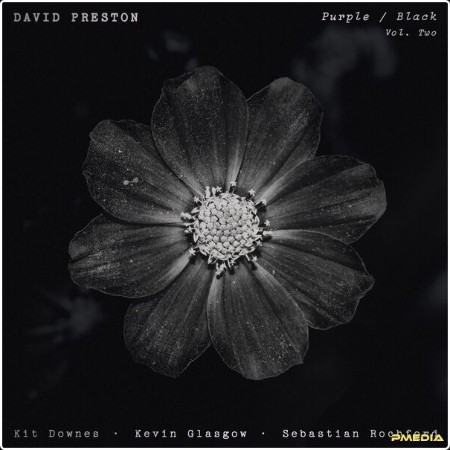 David Preston - Purple  Black (Vol  2) (2024) [24Bit-96kHz] FLAC