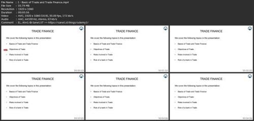 Global Trade Finance Mastery: Tools Risks  Strategies 0406a104d045f9f455a099f843268e35