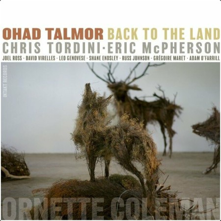 Ohad Talmor - Back to the Land (2023) Mp3 320kbps  C990acb776e70a42041554de1c5baa38