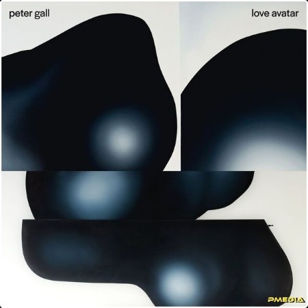 Peter Gall - Love Avatar (2024) [24Bit-44 1kHz] FLAC  A75f5fed00cde058e10996844e8d8a58