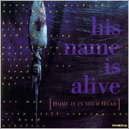 His Name Is Alive - Home Is in Your Head (2024 Remastered Edition) (2024) [24Bit-96kHz] FLAC  6dc1085b76f31677b7201a0d15257861