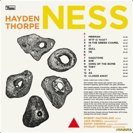 Hayden Thorpe - Ness (2024) [24Bit-44 1kHz] FLAC