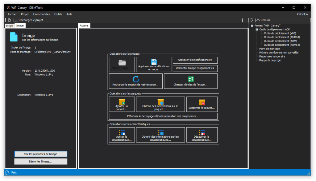 DISMTools 0.5.1 Update 1