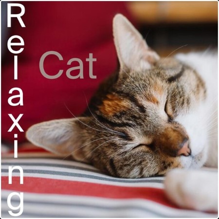 Various Artists - Relaxing Cat (2024) Mp3 320kbps