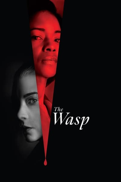 The Wasp 2024 German AC3 WEBRip x265-LDO