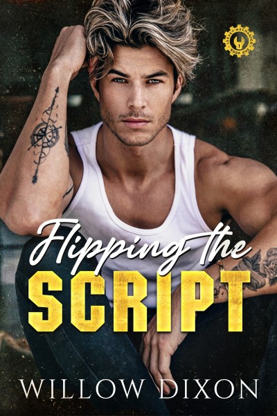 Flipping the Script - Ada Stone