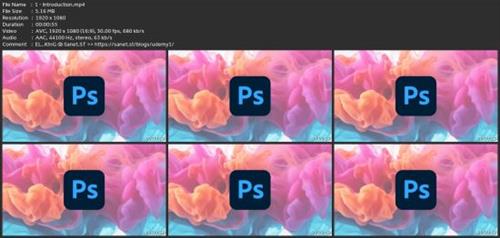 Course 2 - Adobe Photoshop  Essentials 31b3f0306ccdd8ef3dab364bb0bec412