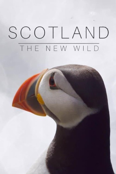 Scotland The New Wild S01E01 The Islands 1080p HEVC x265-MeGusta