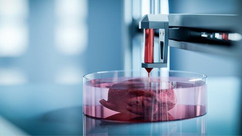 Fundamentals Of Bioprinting By Amaris Castanon