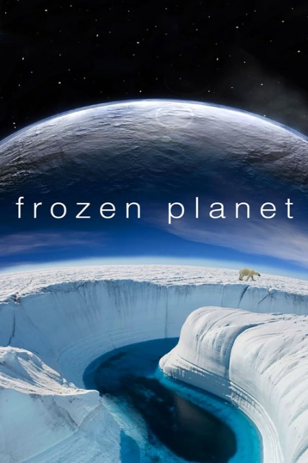 Frozen Planet S01E05 1080p BluRay H264-RMX