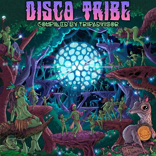 Disco Tribe (2024) FLAC