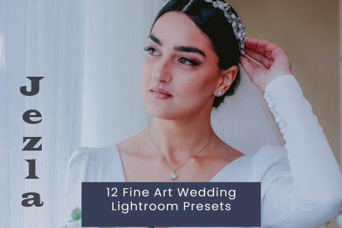 12 Fine Art Wedding Lightroom Presets YPANTSX