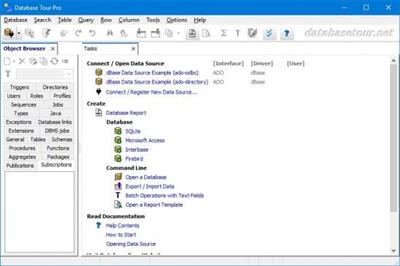 Database Tour Pro 11.2.5.200  Multilingual Ee5954f3dd25250dd110d2c207cf6925