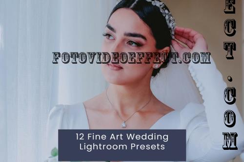 12 Fine Art Wedding Lightroom Presets YPANTSX