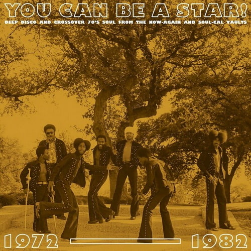 You Can Be A Star! Deep Disco and Crossover 70s Soul From The Now-Again and Soul-Cal Vaults 1972-1982 (2024) FLAC