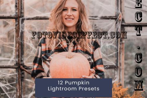 12 Pumpkin Lightroom Presets - 8PMSHCH