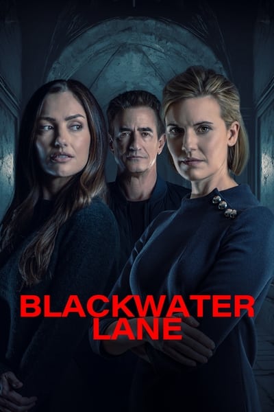 Blackwater Lane 2024 German AC3 WEBRip x264-ZeroTwo