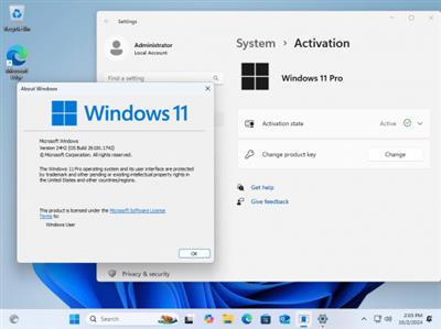 Windows 11 24H2 Final AIO 19in1 Build 26100.1742 (No TPM Required)  Preactivated C68c04cf24728cf24eb1f2c7f464117b