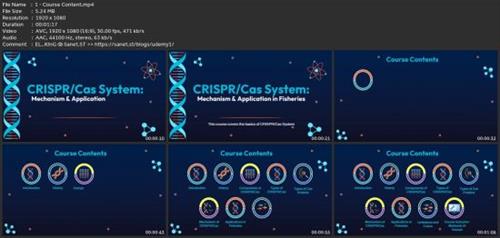 Learn Basics Of Crispr/Cas  System 78add88fdd8c71d281909ad6de615d9b