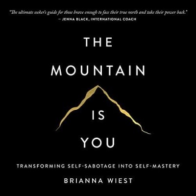 Workbook on The Mountain Is You: Transforming Self-Sabotage Into Self-Mastery by B...