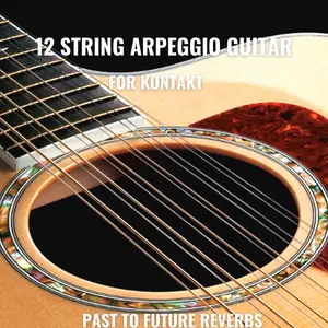 PastToFutureReverbs 12 String Arpeggio Guitar For Kontakt! KONTAKT