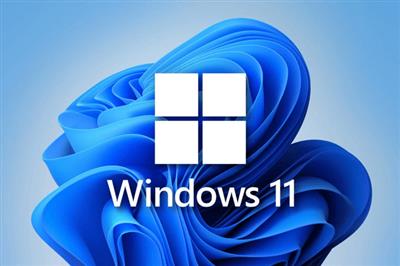 Windows 11 24H2 Build 26100.1742 Consumer/Business Edition English October 2024 MSDN  (x64/arm64)