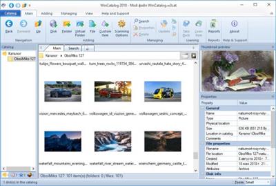 WinCatalog 2024.8.1.1002  Multilingual B80a913243f31cc122599a11f6190b13