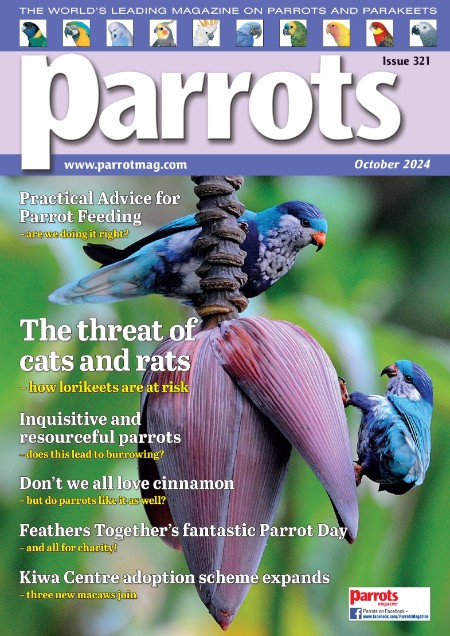 Parrots - October 2024