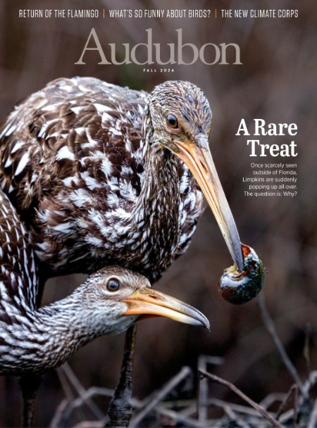 Audubon Magazine - Fall 2024