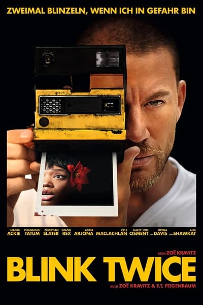 Blink Twice 2024 German AC3 WEBRip x264-ZeroTwo