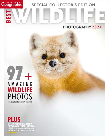 Canadian Geographic - Best WildLife Photograph 2024