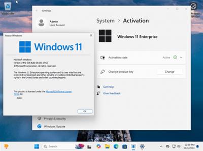 Windows 11 Enterprise 24H2 Build 26100.1742 Final (No TPM Required) Preactivated  Multilingual 2c824b94eba0fc2582da99fb01d839e4