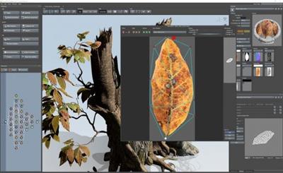 Unity Technologies SpeedTree Modeler Enterprise 10.0.1  macOS