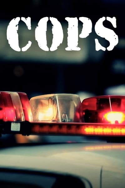 Cops S36E11 1080p HEVC x265-MeGusta