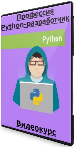 Профессия Python-разработчик (Илья Фофанов) (2024) Видеокурс