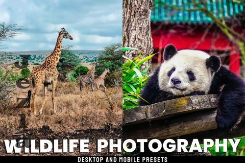 Wildlife - Desktop and Mobile Presets - NNGSCBZ