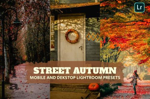 Street Autumn Lightroom Presets Dekstop and Mobile - A2RS676