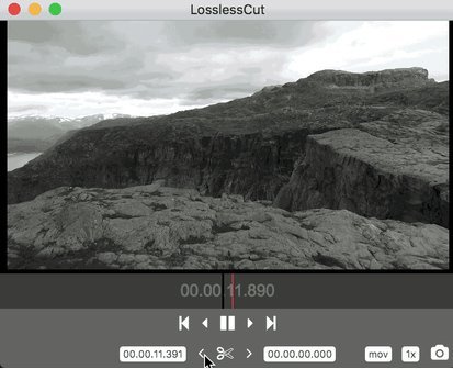 LosslessCut 3.63.0 (x64)