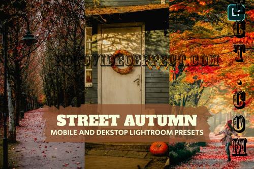 Street Autumn Lightroom Presets Dekstop and Mobile - A2RS676