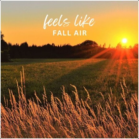 Various Artists - feels like fall air (2024) Mp3 320kbps