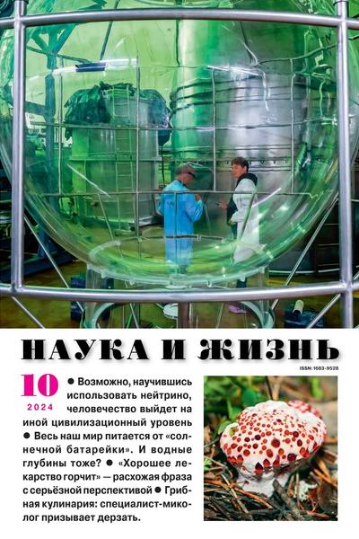 Наука и жизнь №10 (октябрь 2024)