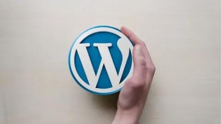 Mastering Wordpress Theme Development.