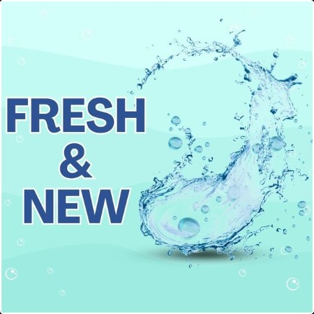 Various Artists - Fresh & New (2024) Mp3 320kbps